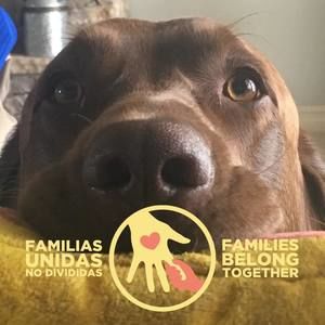 Meet your Posher, Fawn